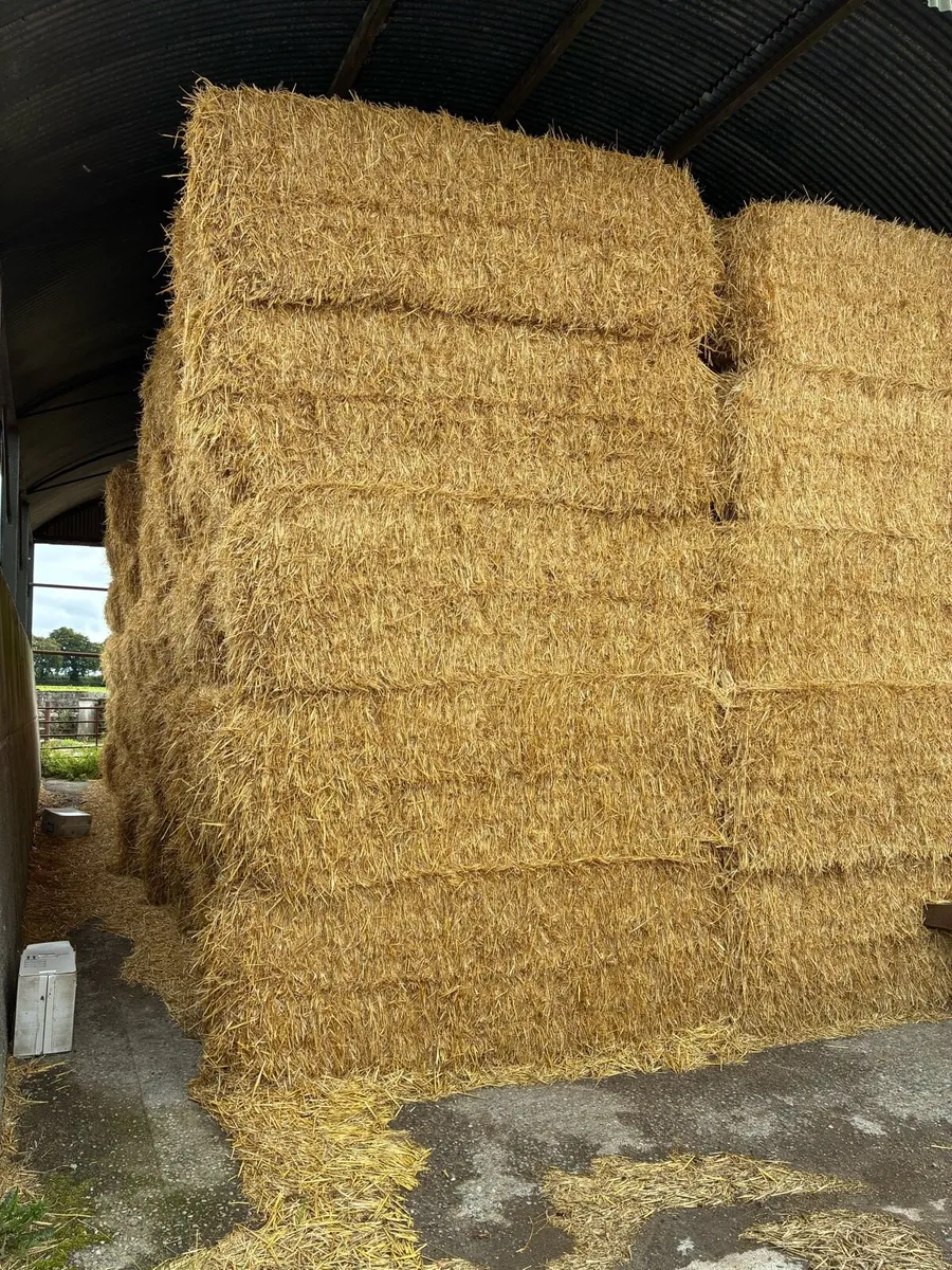 Barley straw - Image 1