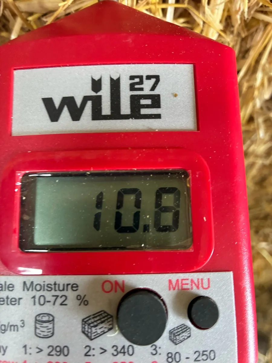Barley straw - Image 3