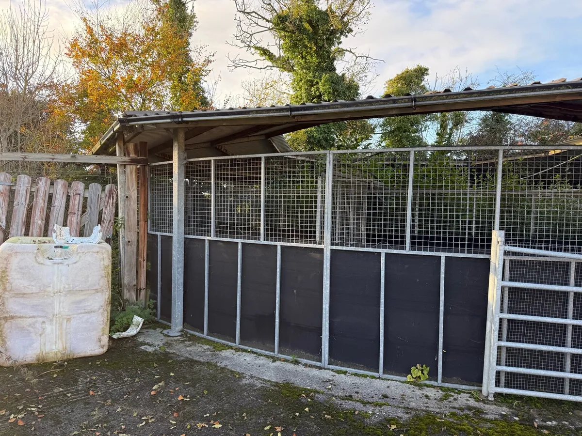 Horse walker for sale - Image 1