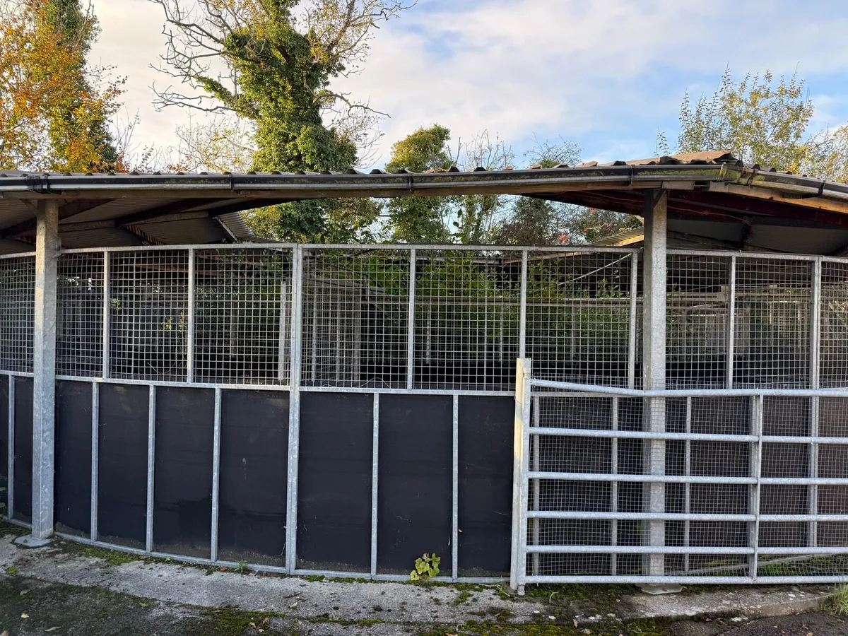 Horse walker for sale - Image 2