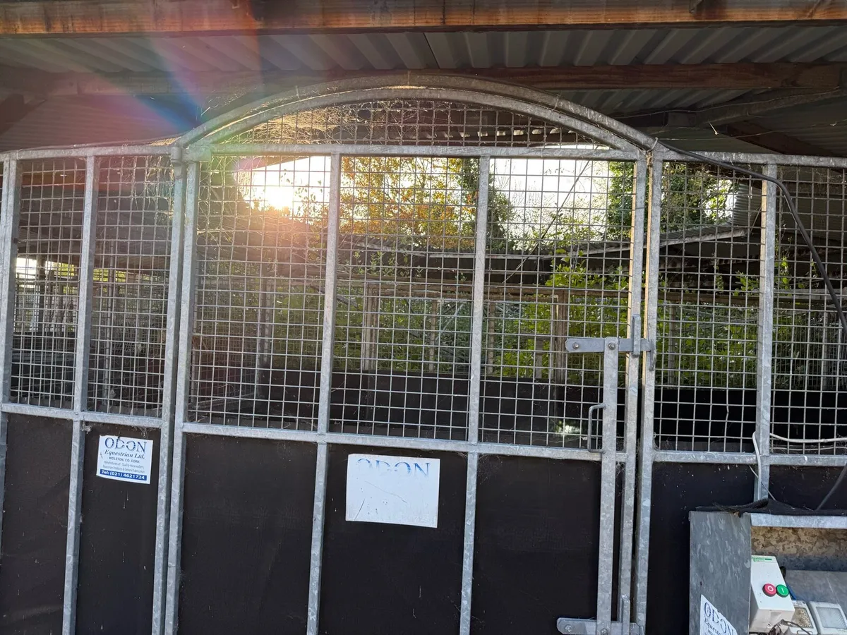 Horse walker for sale - Image 3