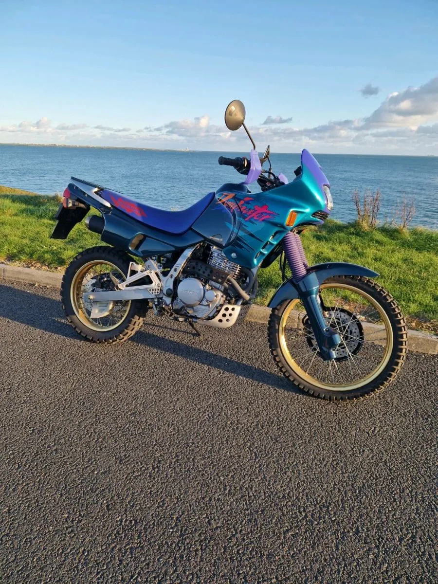 Dominator 650 - Image 1