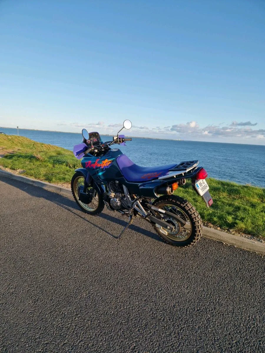 Dominator 650 - Image 2
