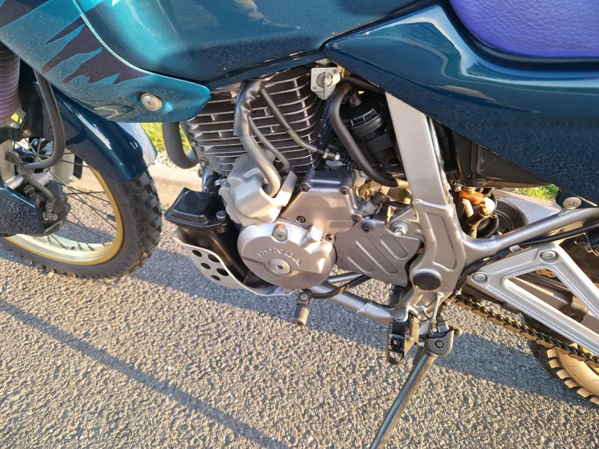Dominator 650 - Image 3