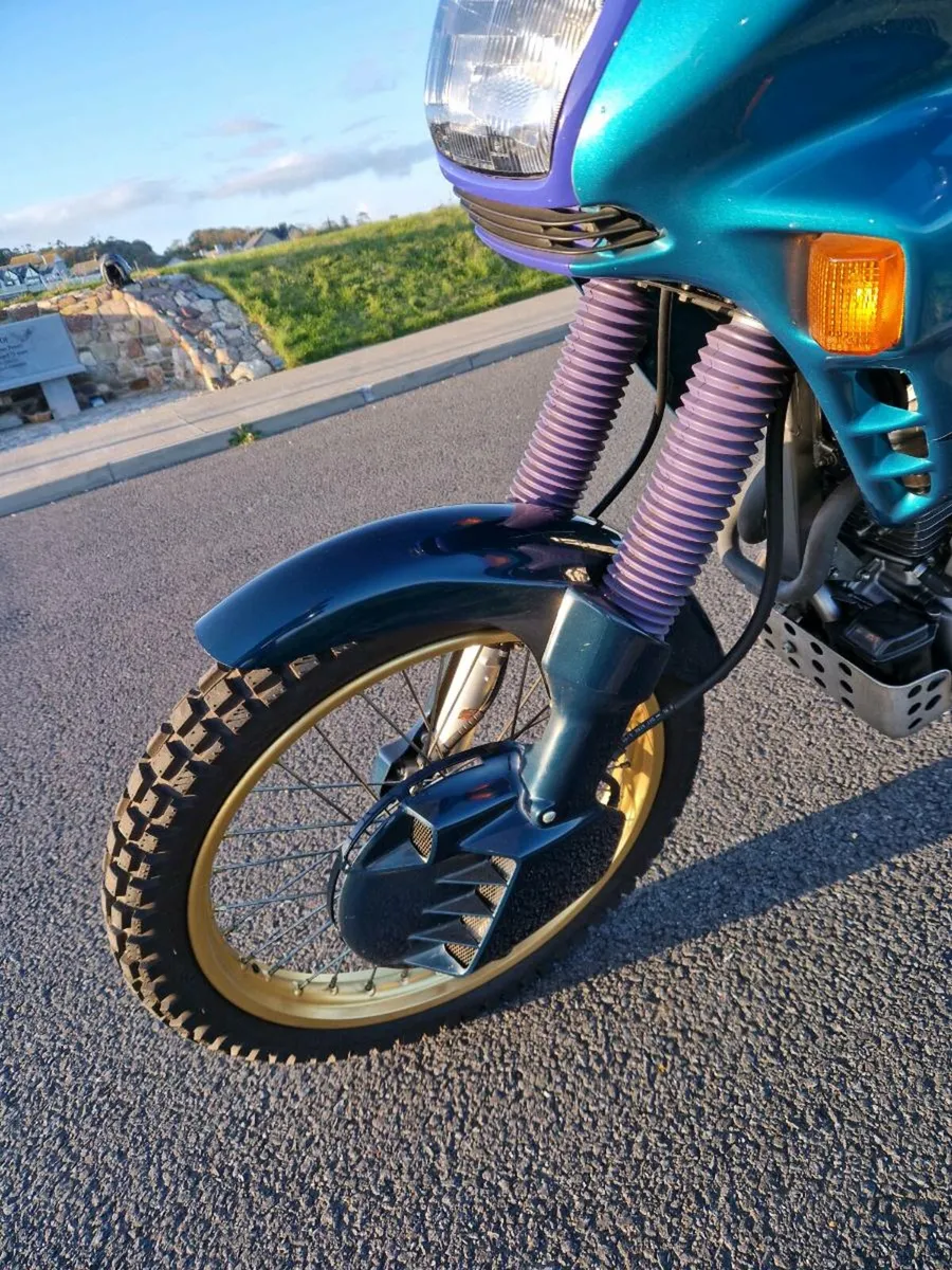 Dominator 650 - Image 4