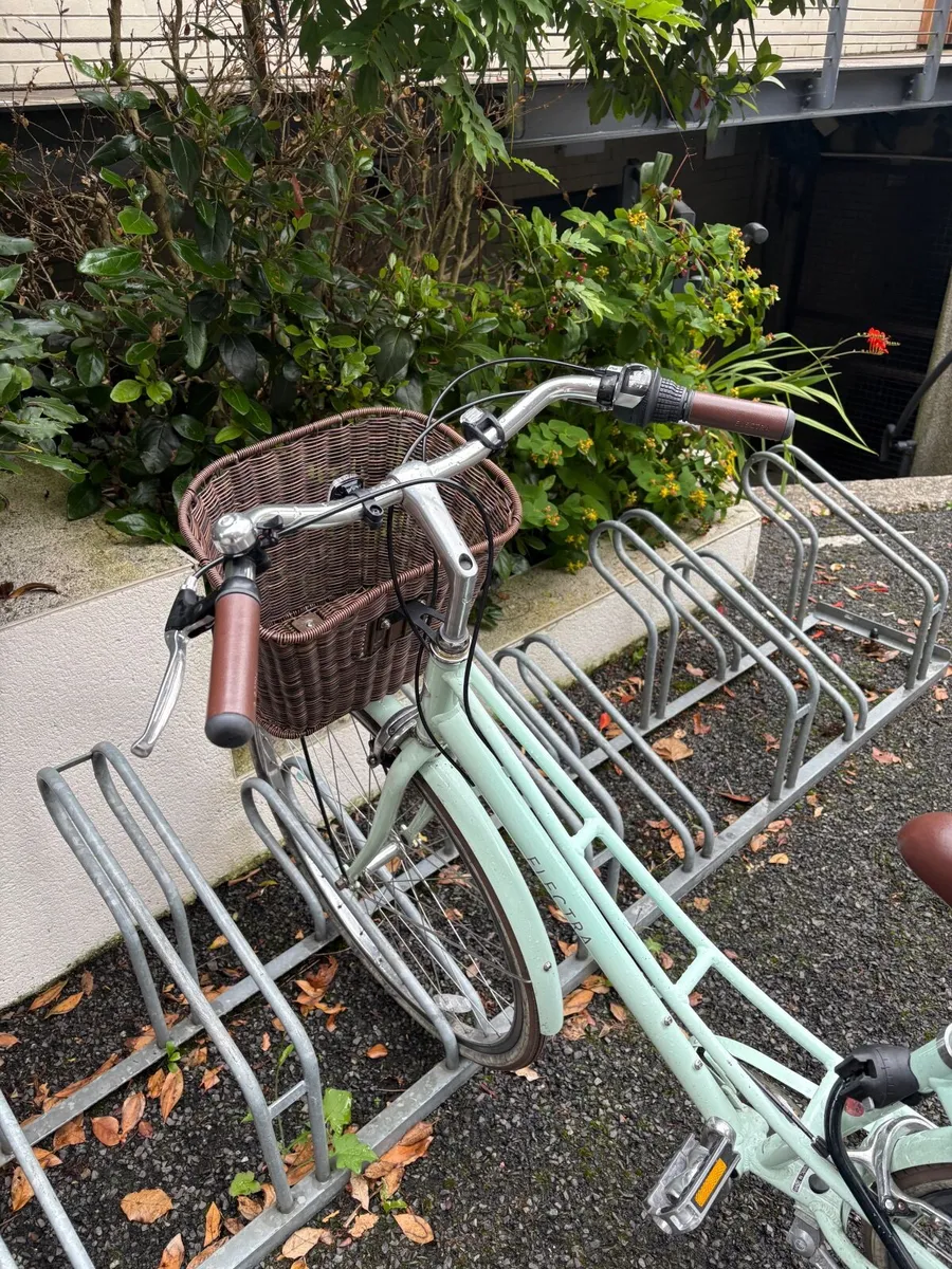 Bicycle & Lock - Image 4