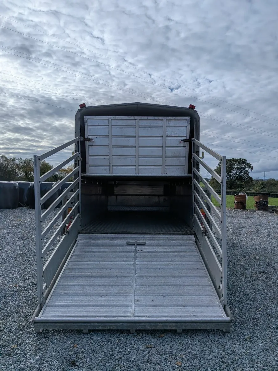 Hudson 12x6 Livestock trailer with sheep decks - Image 2