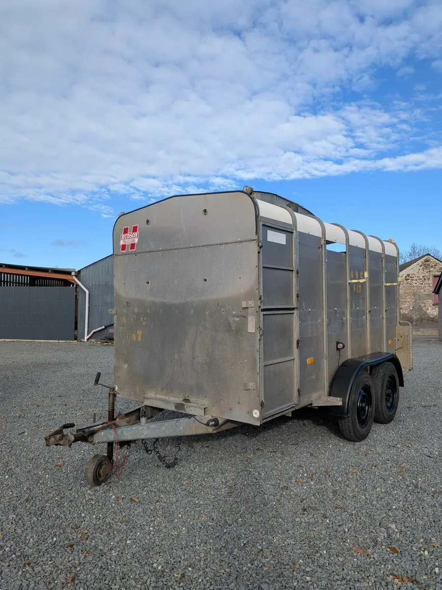 Hudson 12x6 Livestock trailer with sheep decks - Image 4