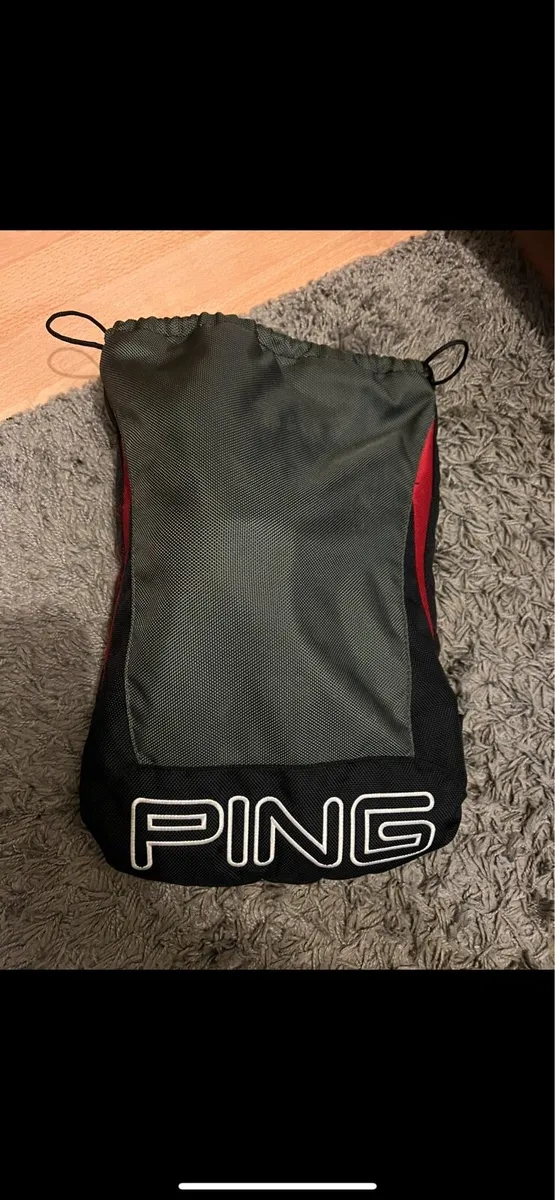 Ping shoe bag - Image 1