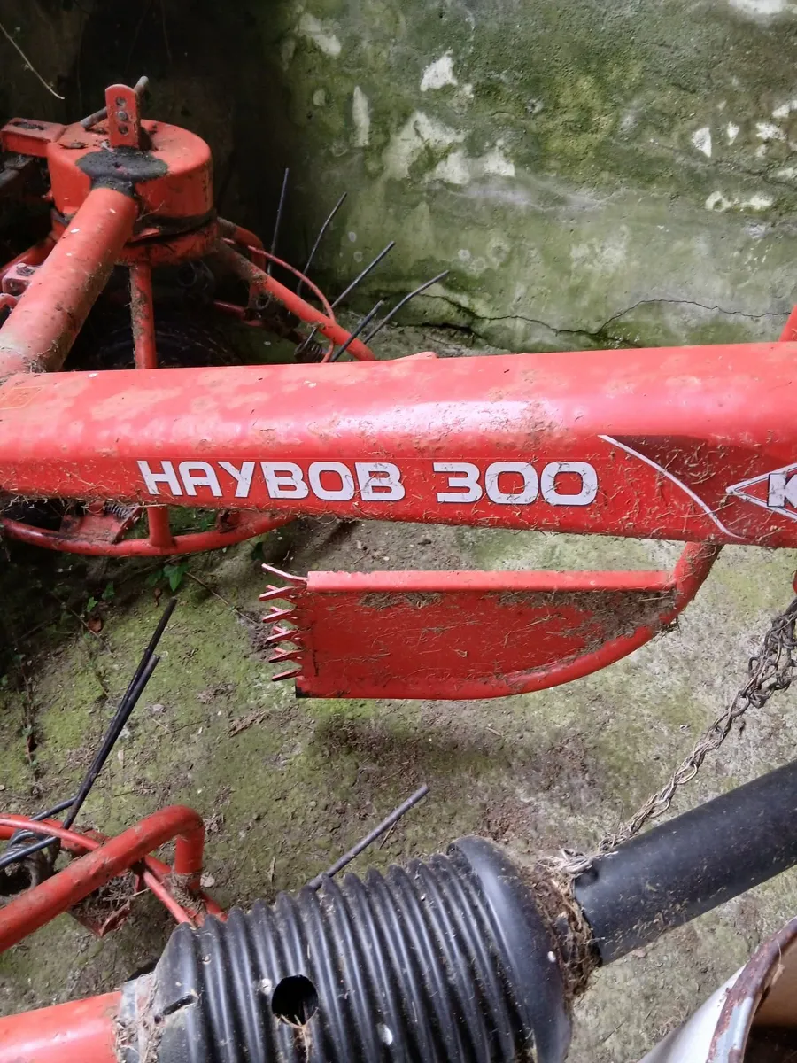 Haybob - Image 1