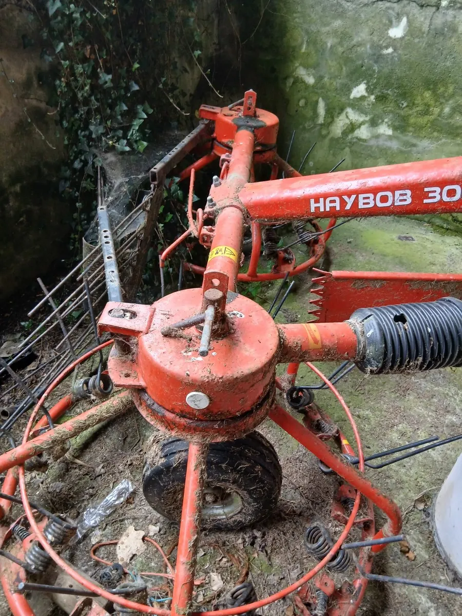 Haybob - Image 2
