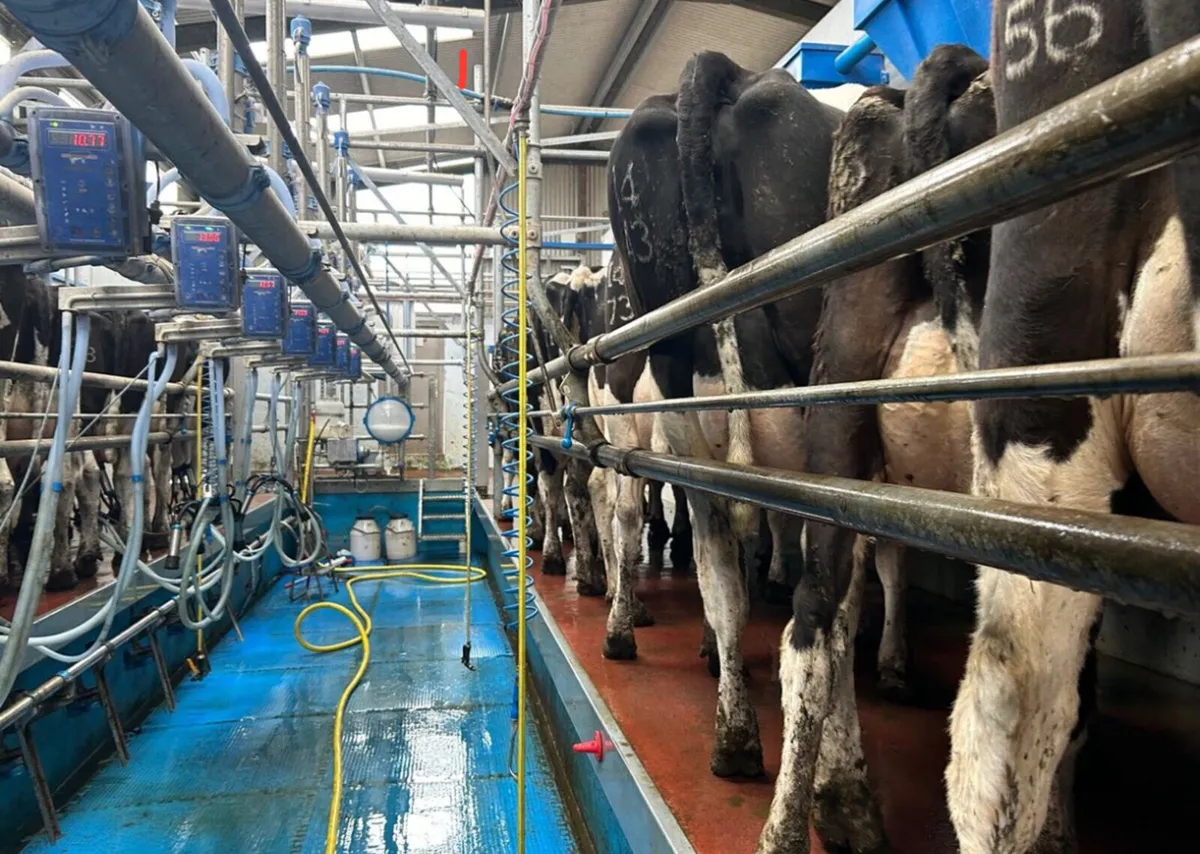 Relief Milker - Image 1