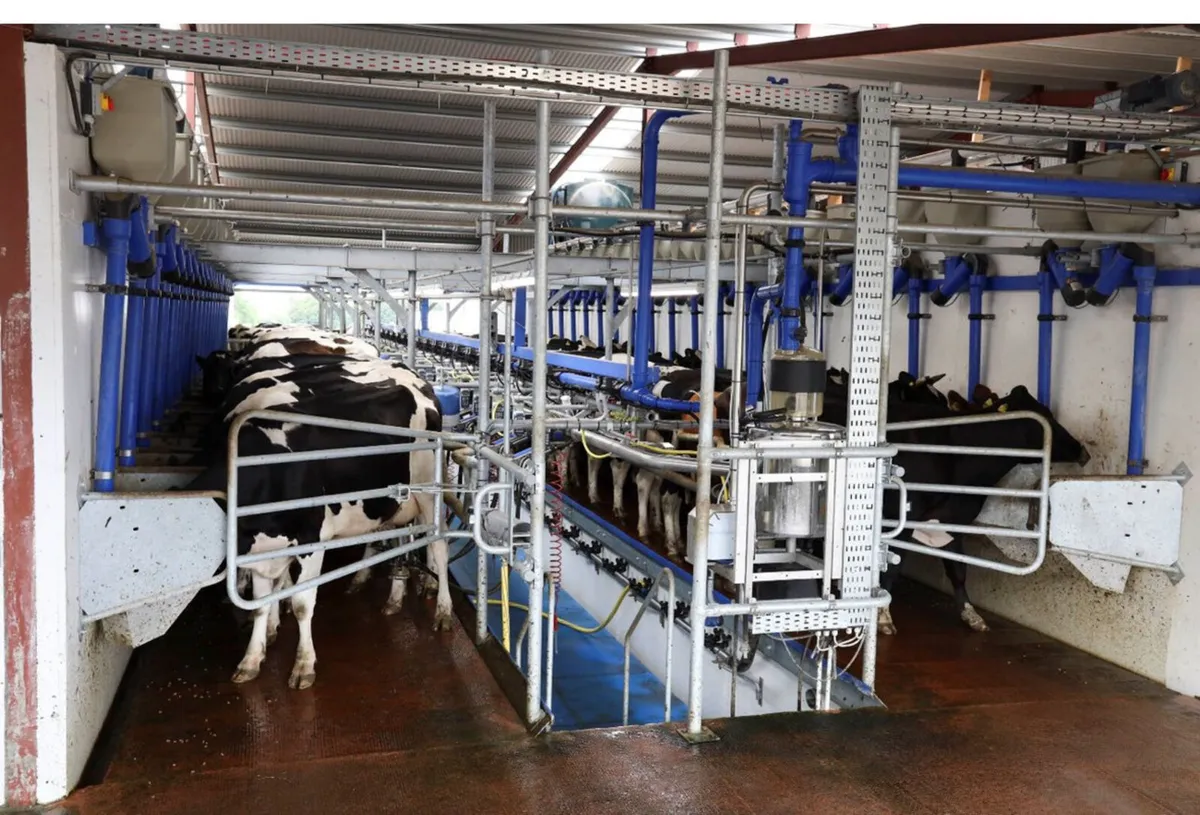 Relief Milker - Image 2