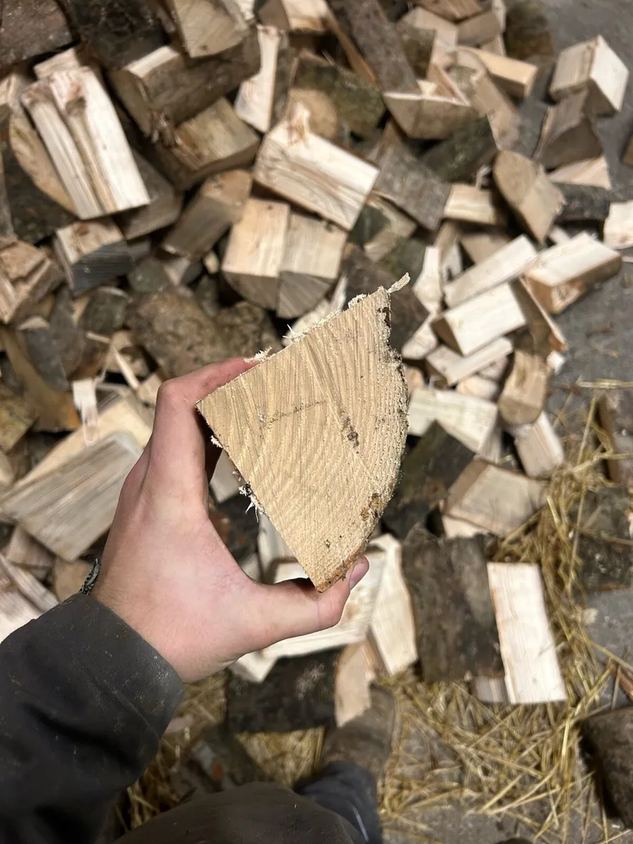 Firewood 🪵 - Image 1