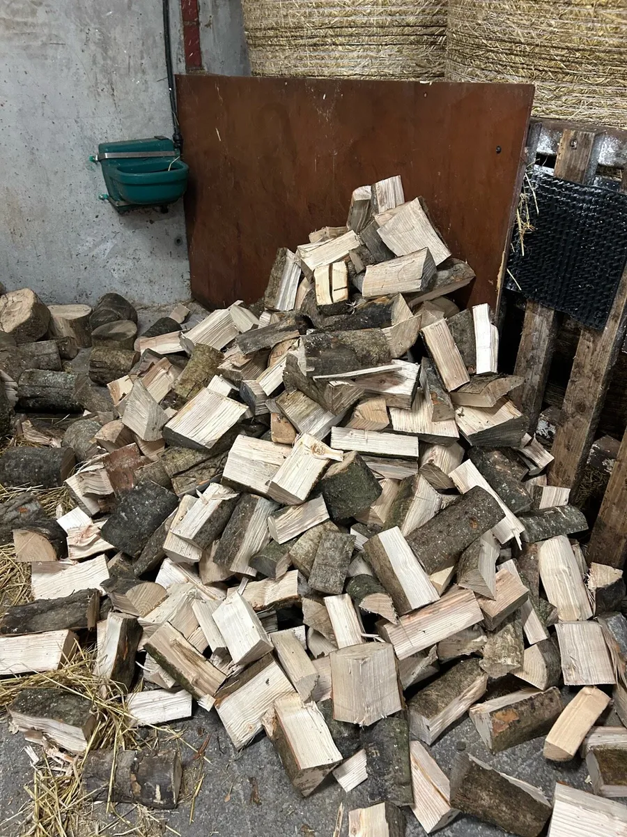 Firewood 🪵 - Image 2