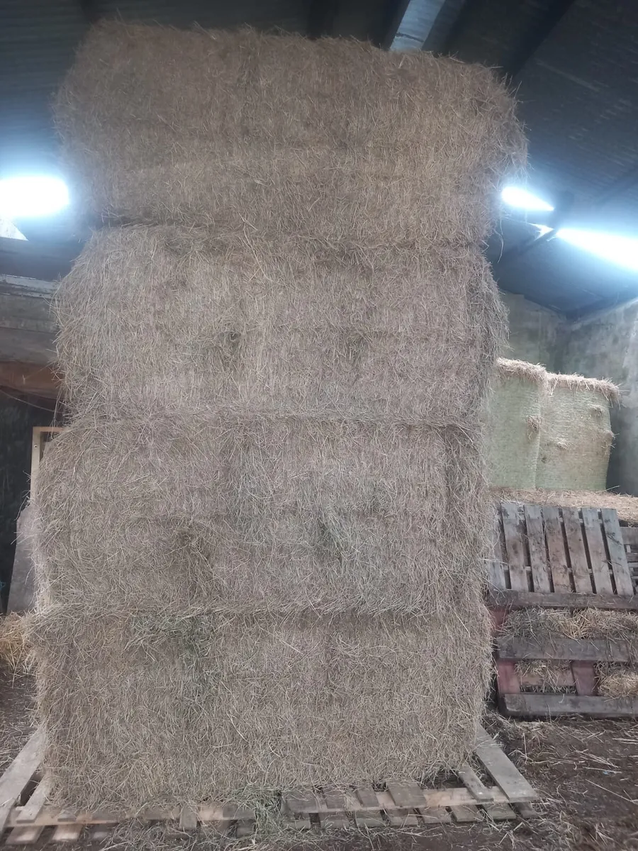 Hay & straw