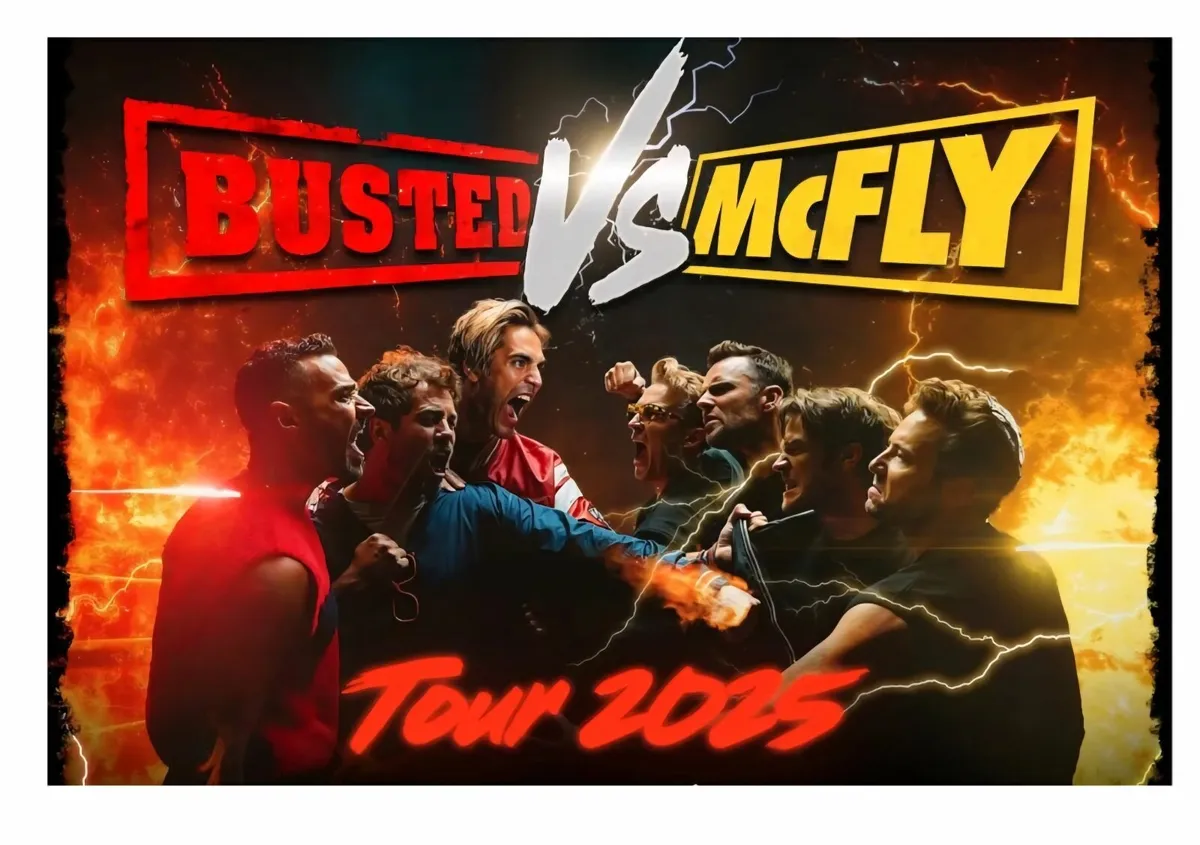 McFly Tickets for Sunday