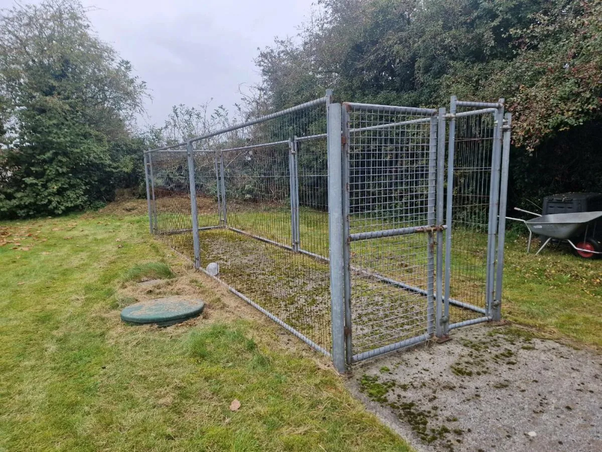 Dog Run - Image 2