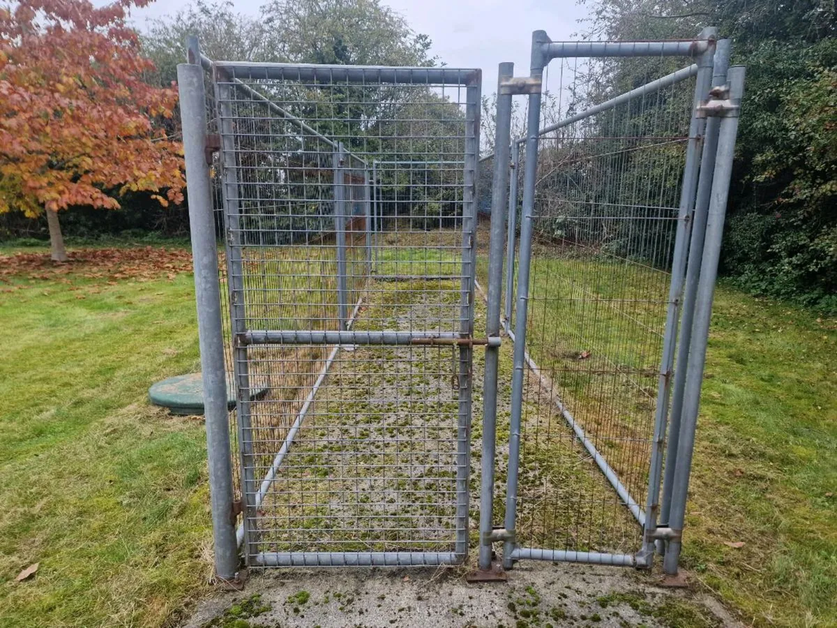 Dog Run - Image 3