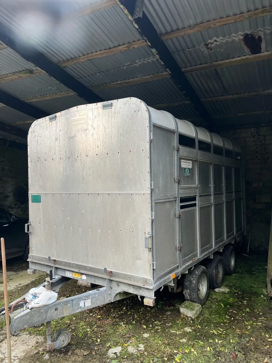 Ifor Williams - Image 3