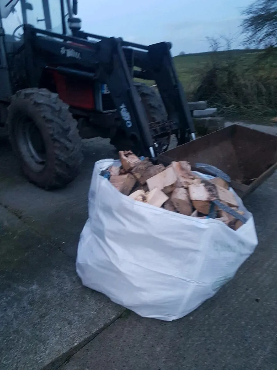 Firewood - Image 2