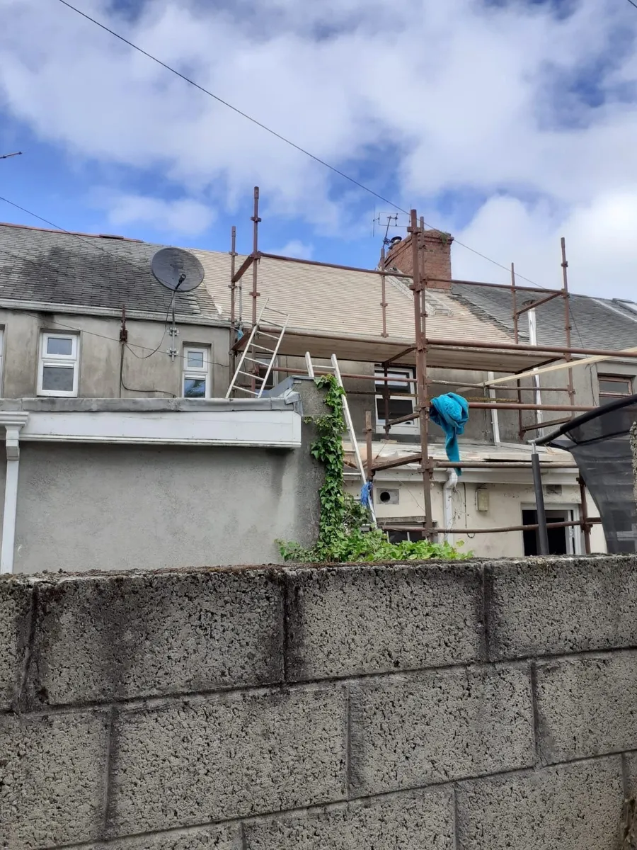Builder. Roofing & chimney repair. - Image 4