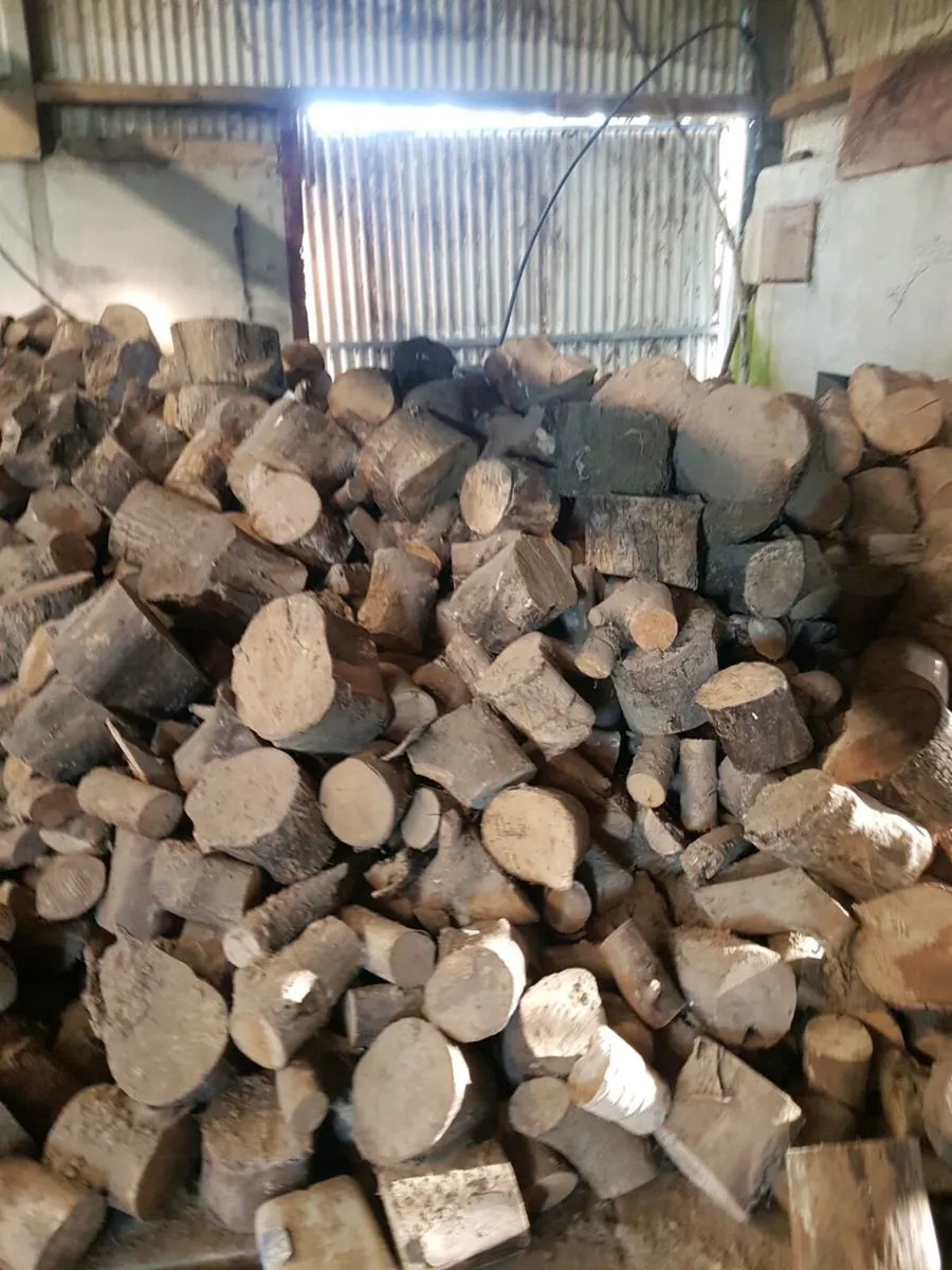 Firewood - Image 4