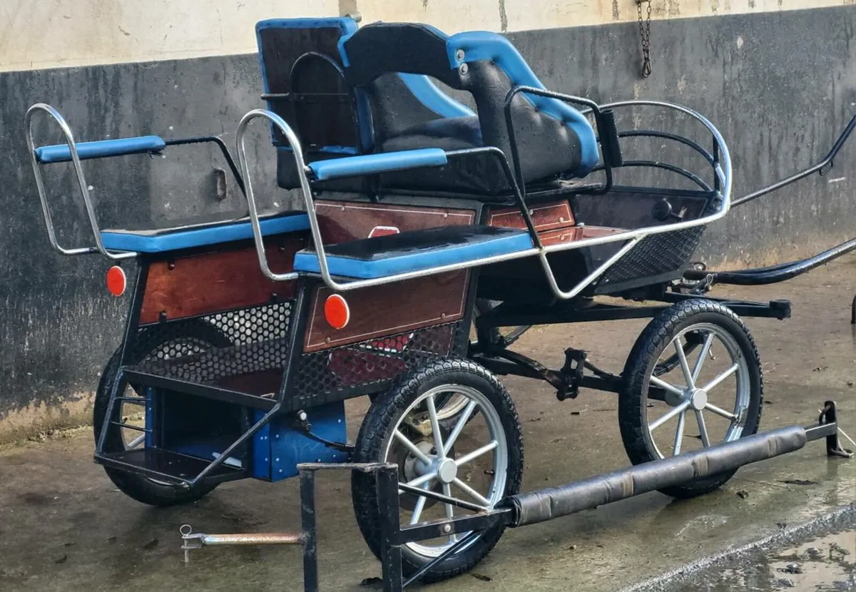 Carriage . - Image 1
