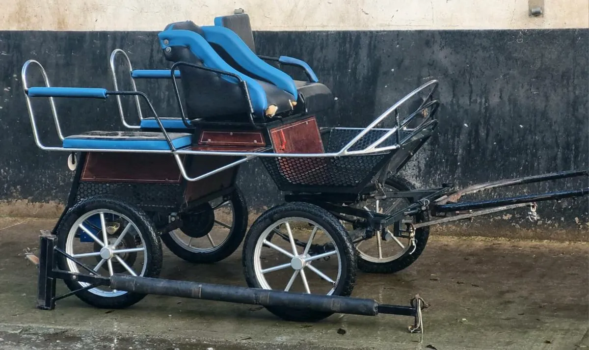 Carriage . - Image 2