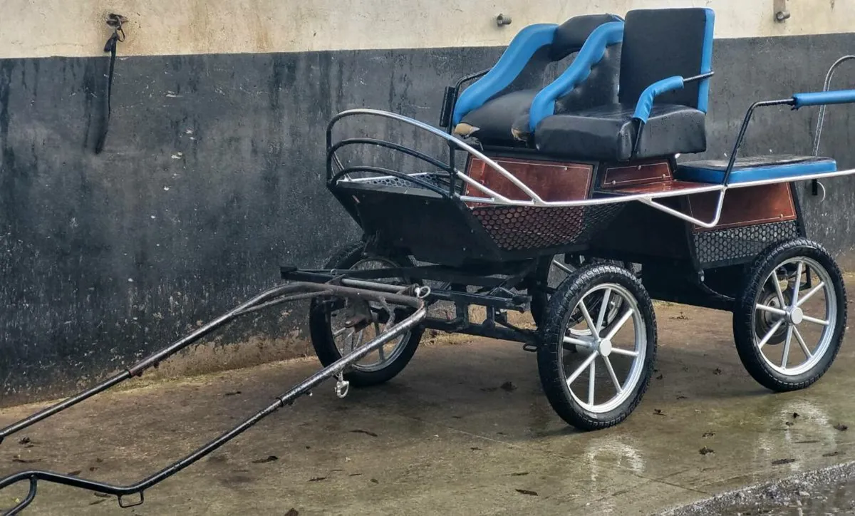 Carriage . - Image 3