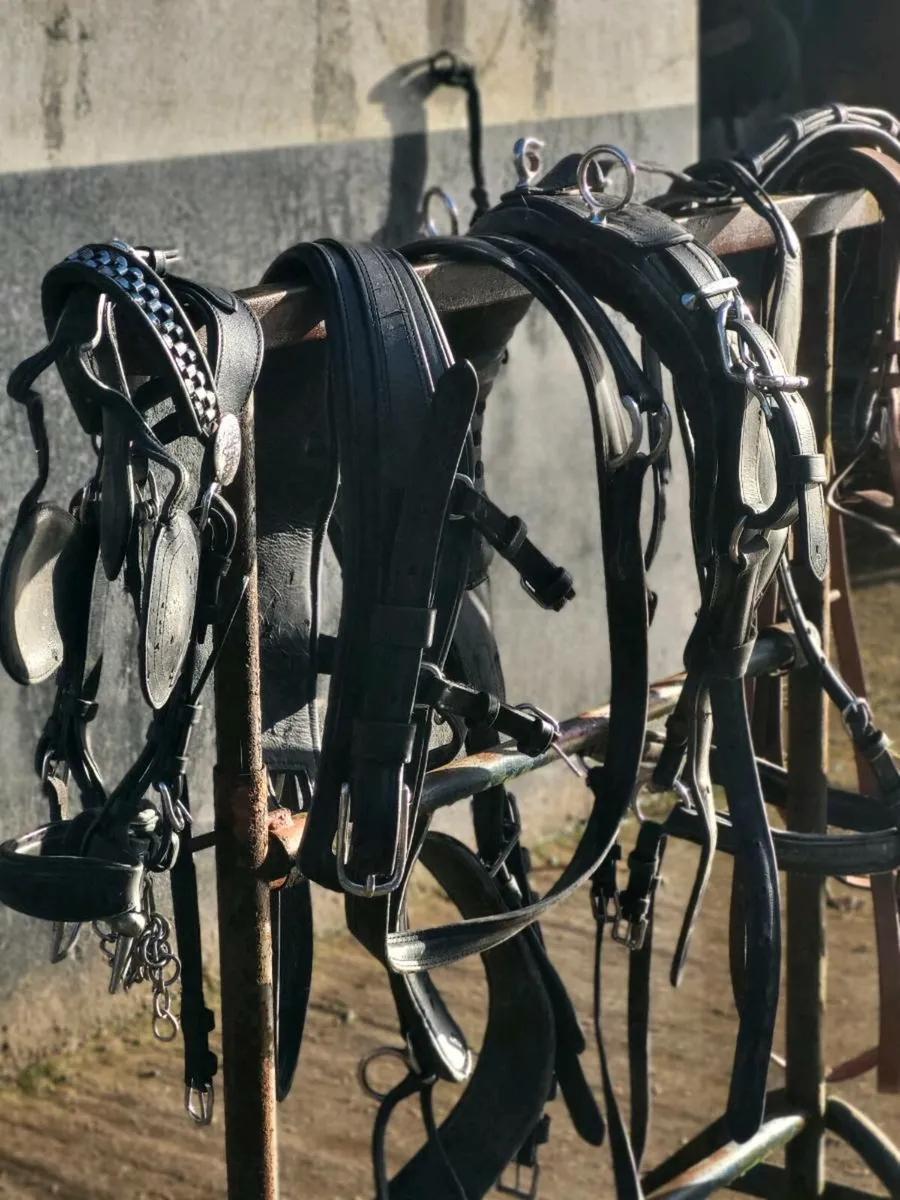 Carriage . - Image 4
