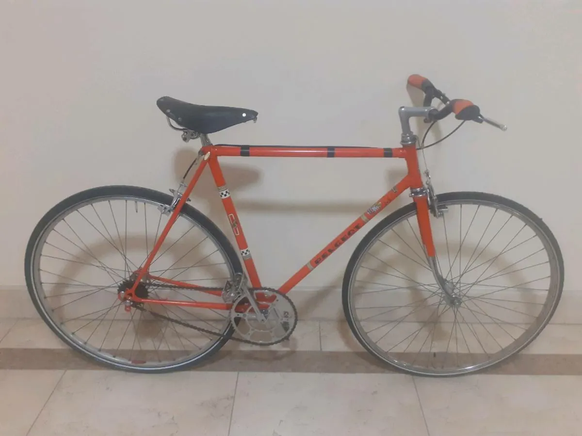 Peugeots Record du Monde single speed - Image 1