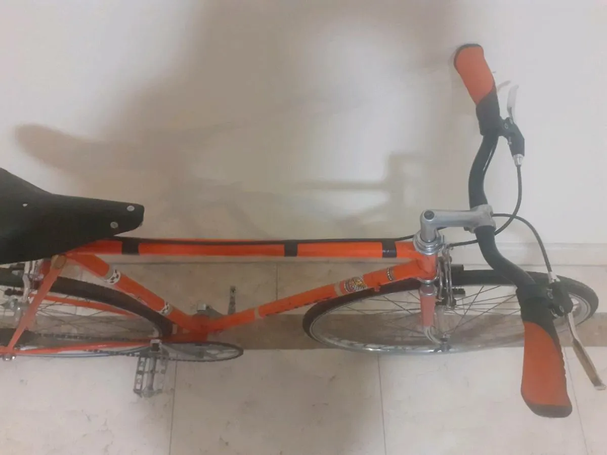 Peugeots Record du Monde single speed - Image 2