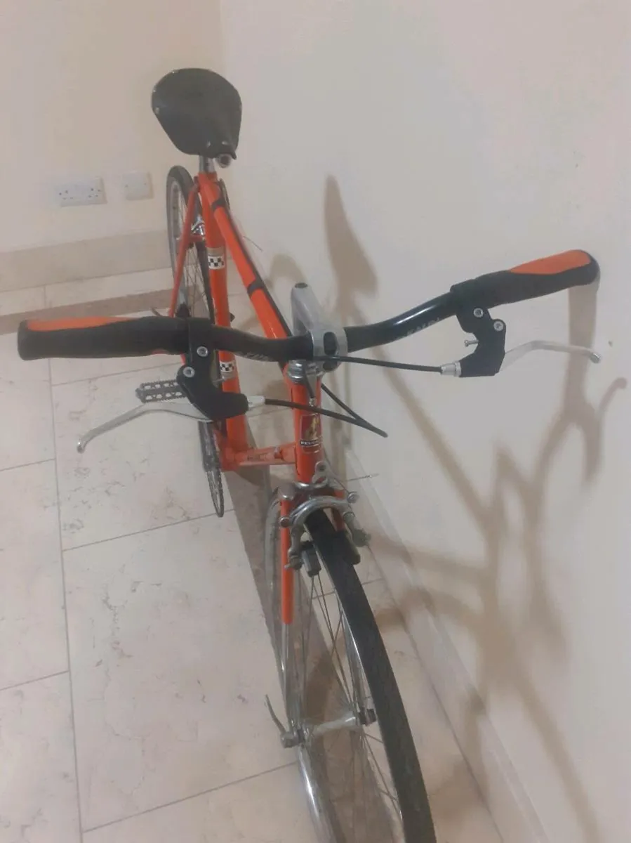 Peugeots Record du Monde single speed - Image 3