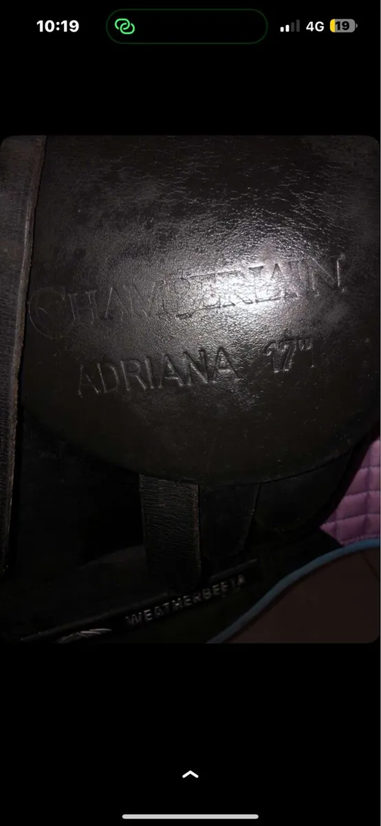 All purpose saddle - Image 4
