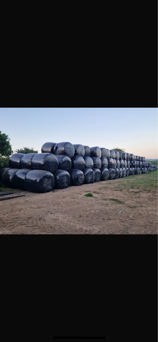 QUALITY FEEDING SILAGE AND HAYLAGE - Image 1