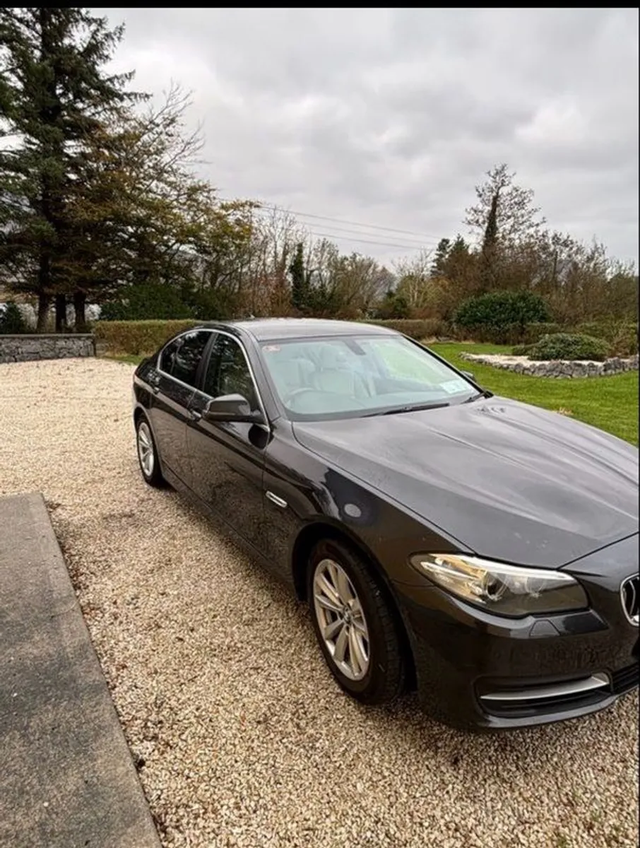 2015 Bmw 5-series - Image 4