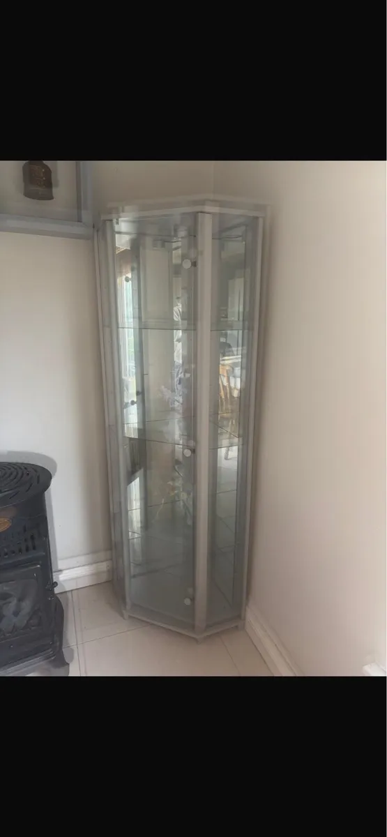 Glass Cabinet & Electric Fire - Image 1