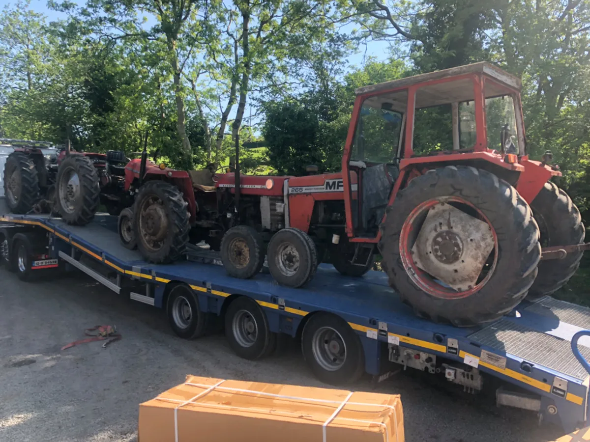 Wanted MF165-168-185-188 - Image 4