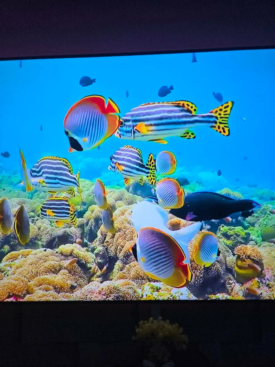 Samsung 85in - Image 2