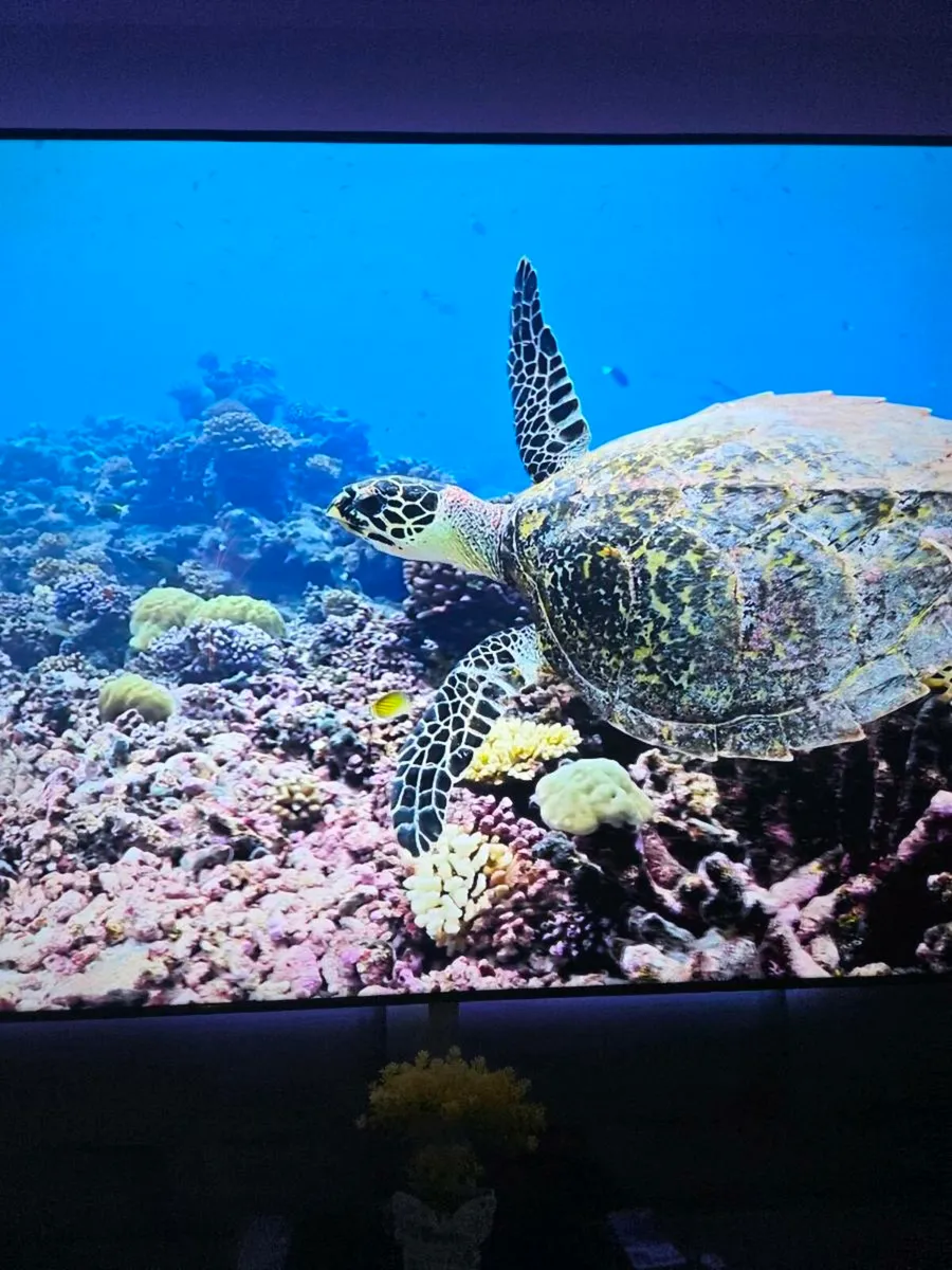 Samsung 85in - Image 3