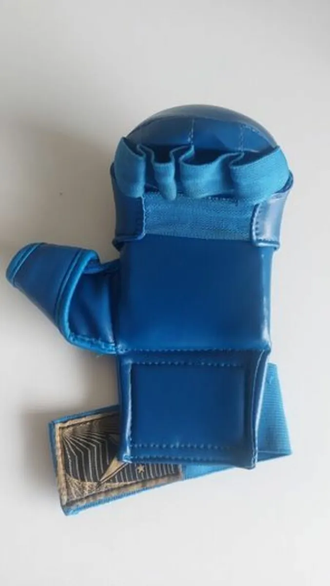 Kid's Karate gloves and belts - Image 1