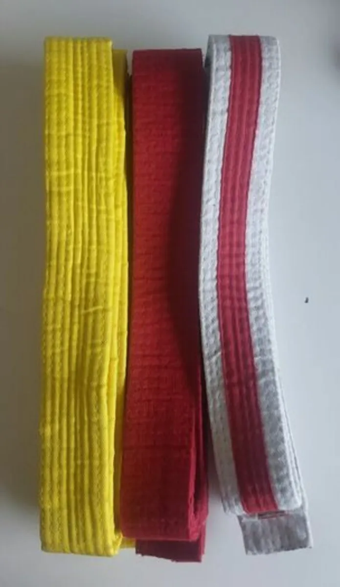 Kid's Karate gloves and belts - Image 2