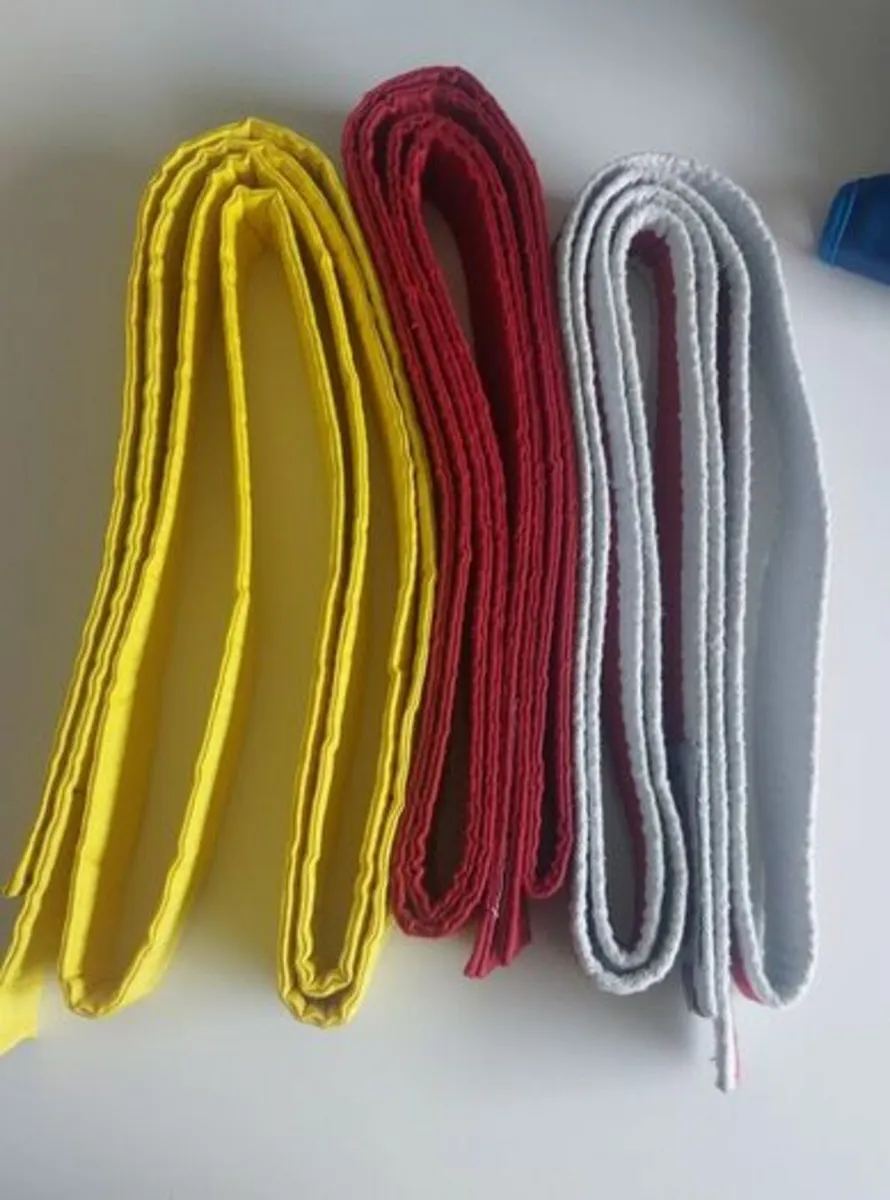 Kid's Karate gloves and belts - Image 4