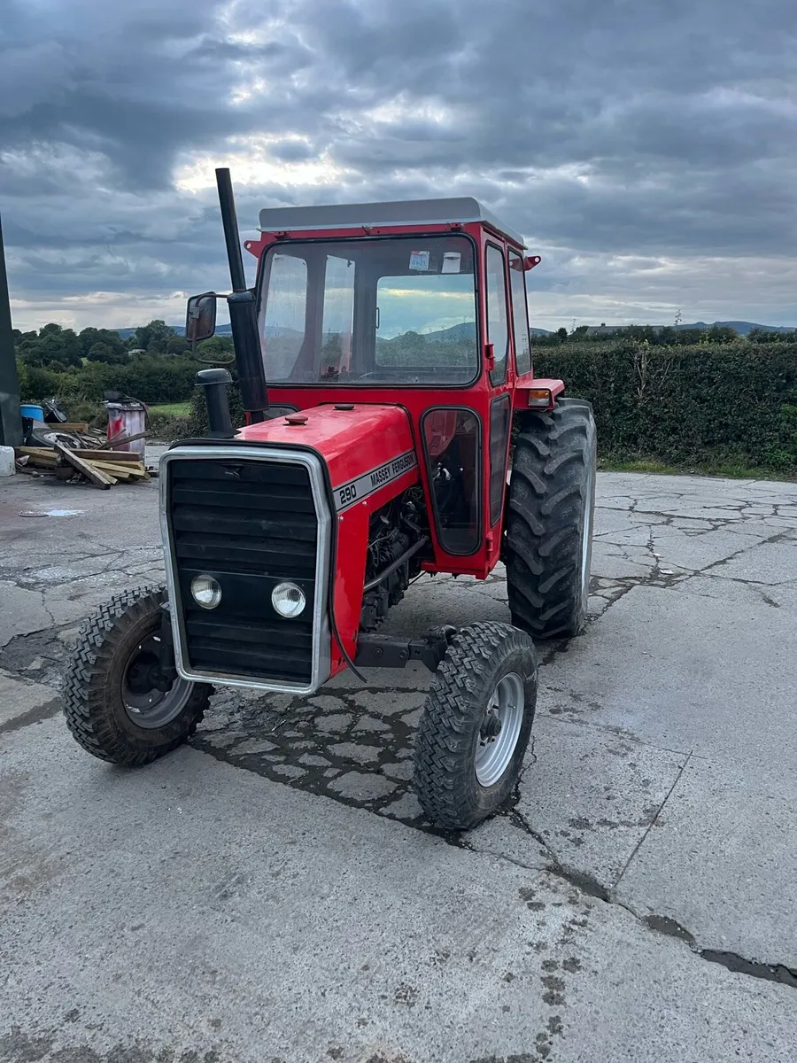 Massey 290 - Image 2