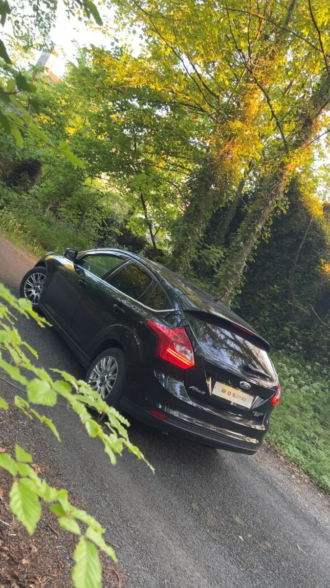 Focus titanium - Image 2