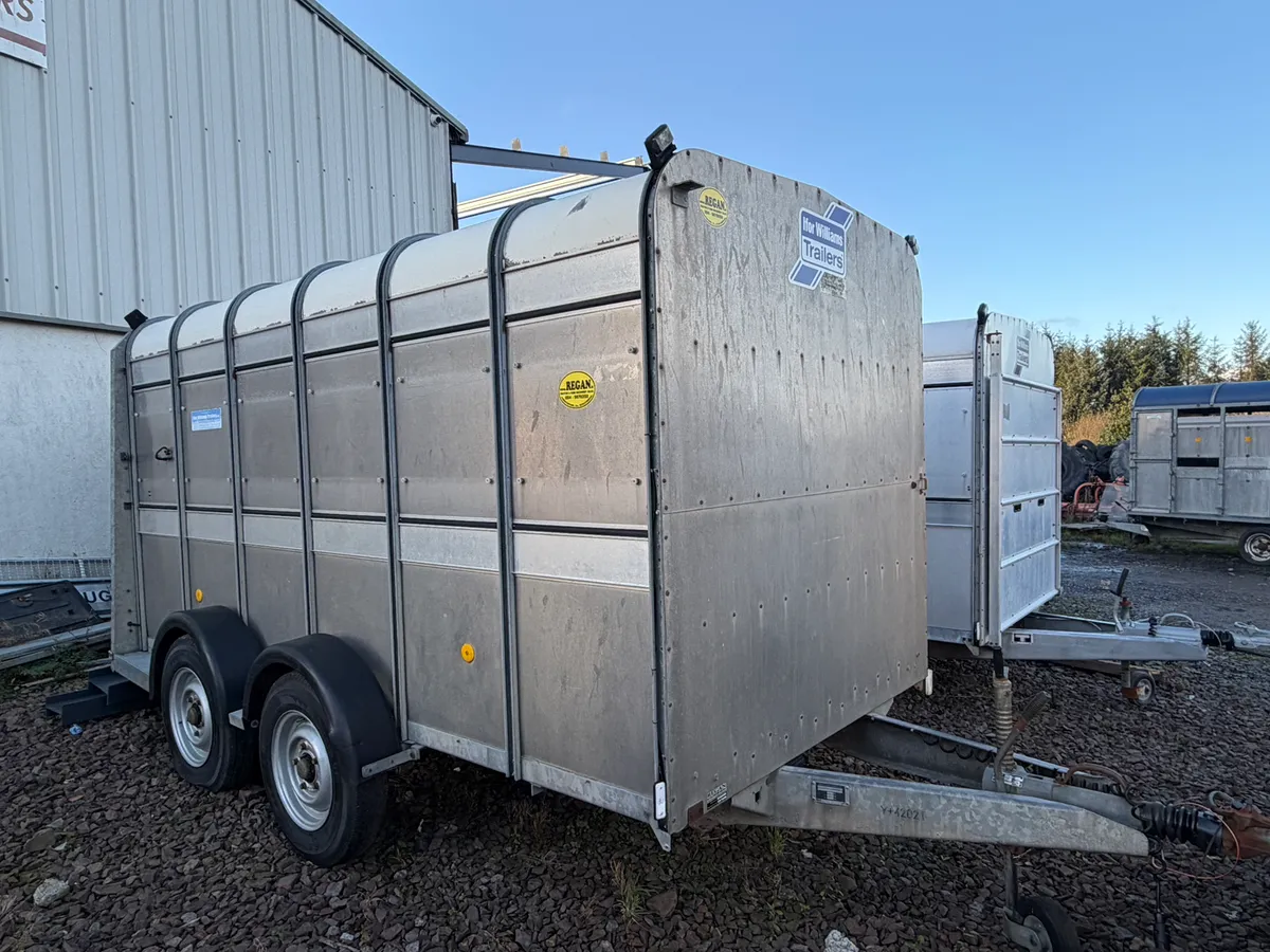 Ifor Williams Cattle Trailer 12x6 choice of 6 - Image 1
