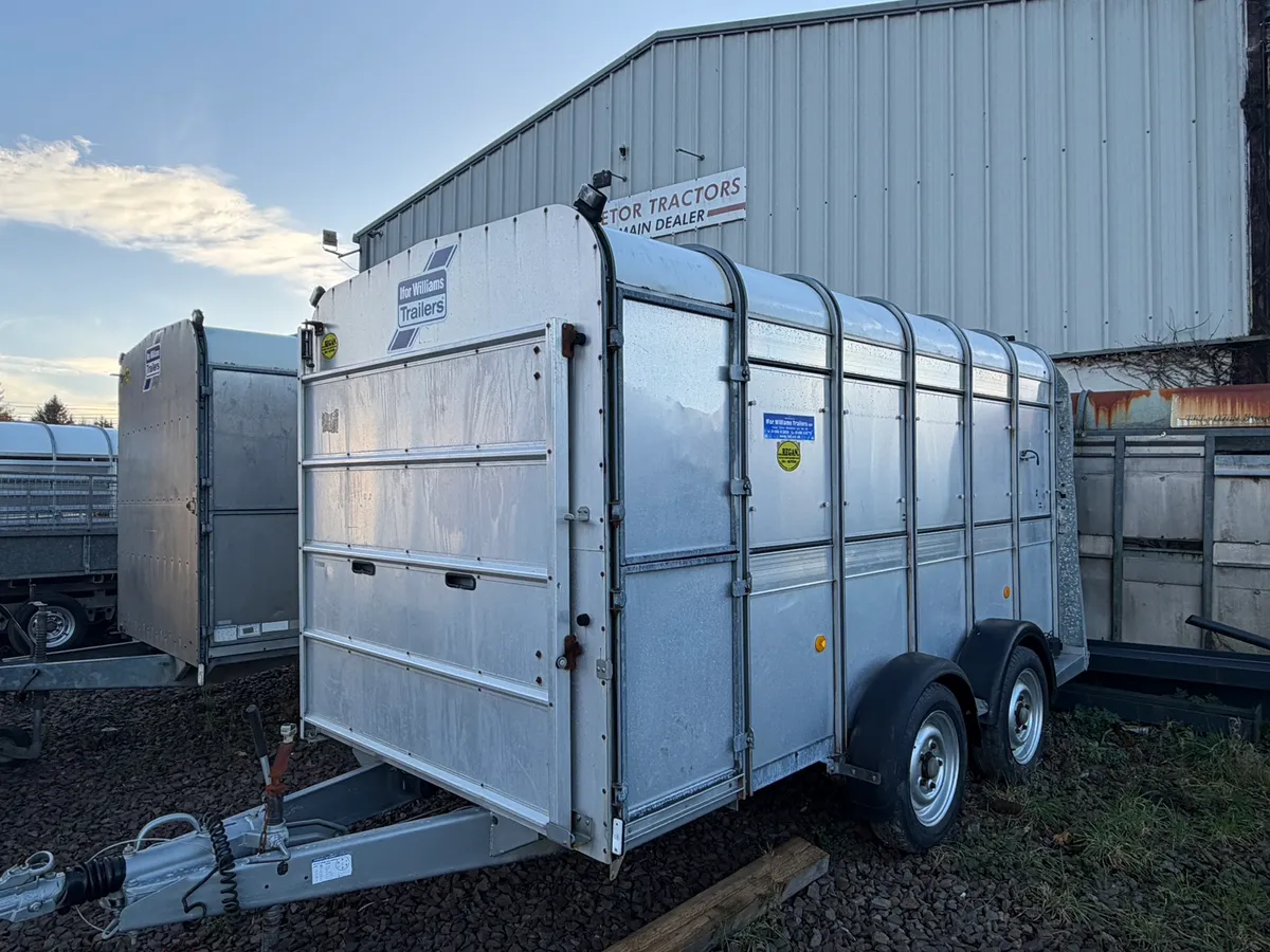 Ifor Williams Cattle Trailer 12x6 choice of 6 - Image 4