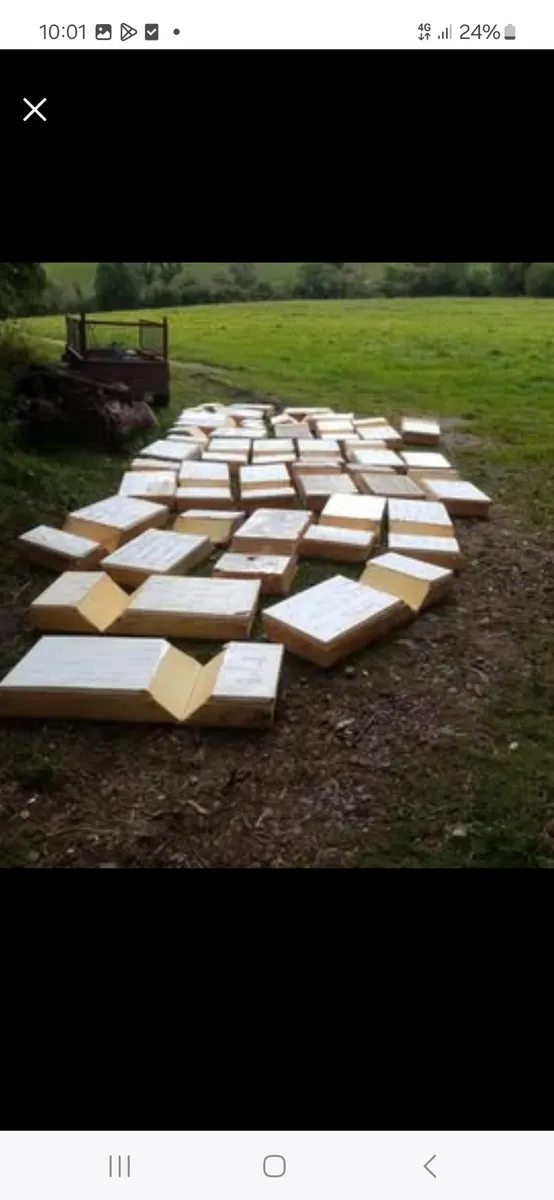 Cavity insulation - Image 1