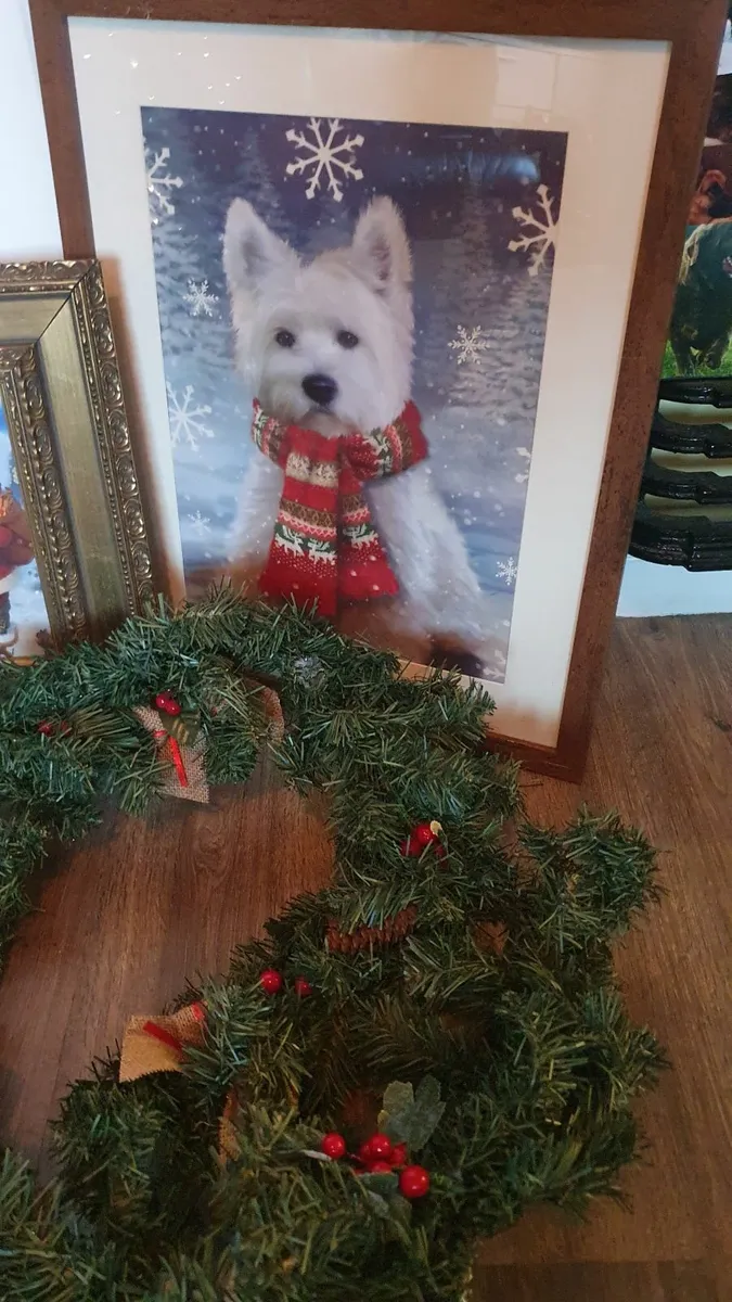 Christmas bundle - Image 4